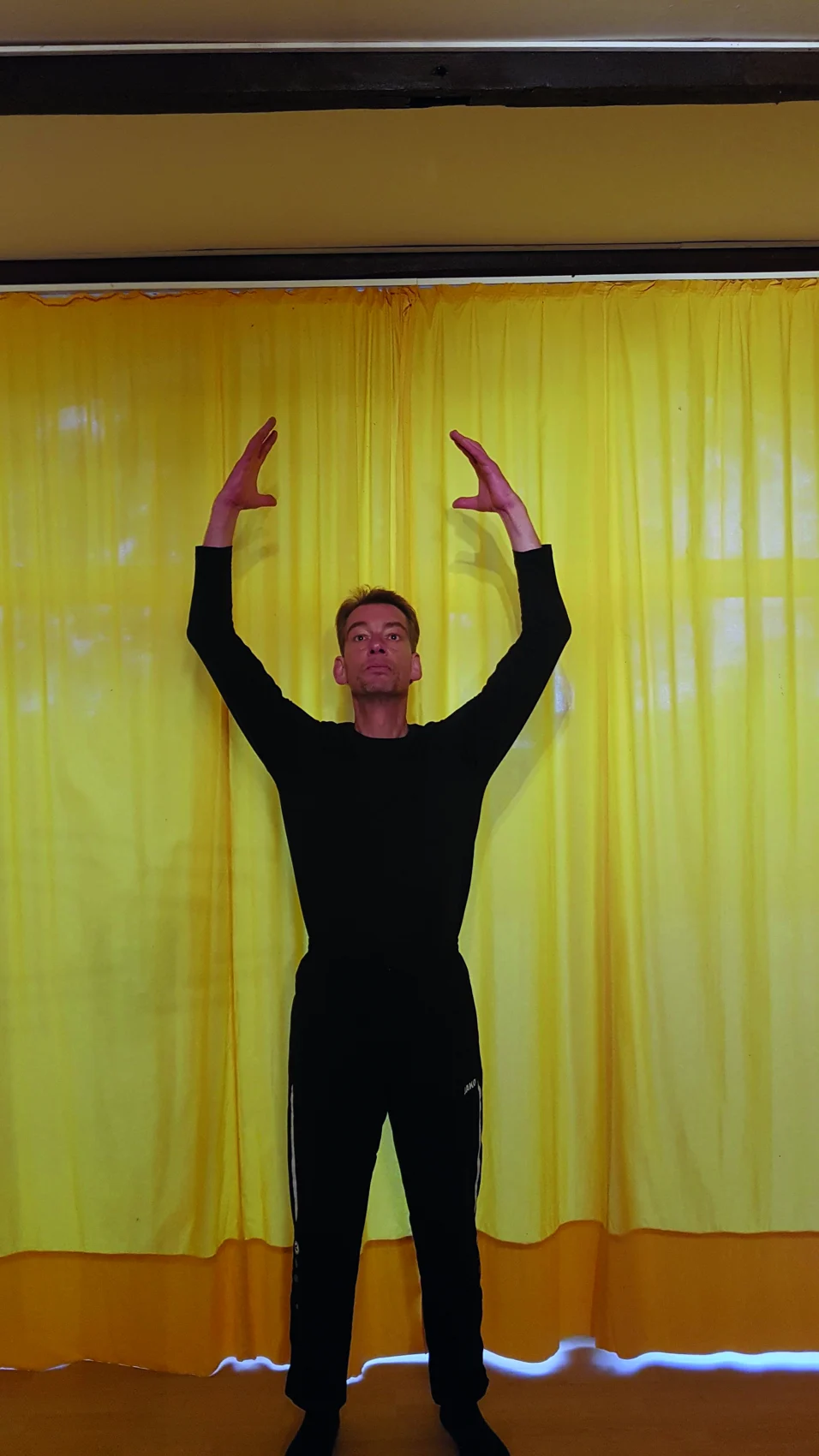 Tai-Chi-Bewegung 2 mit Boris Piefel